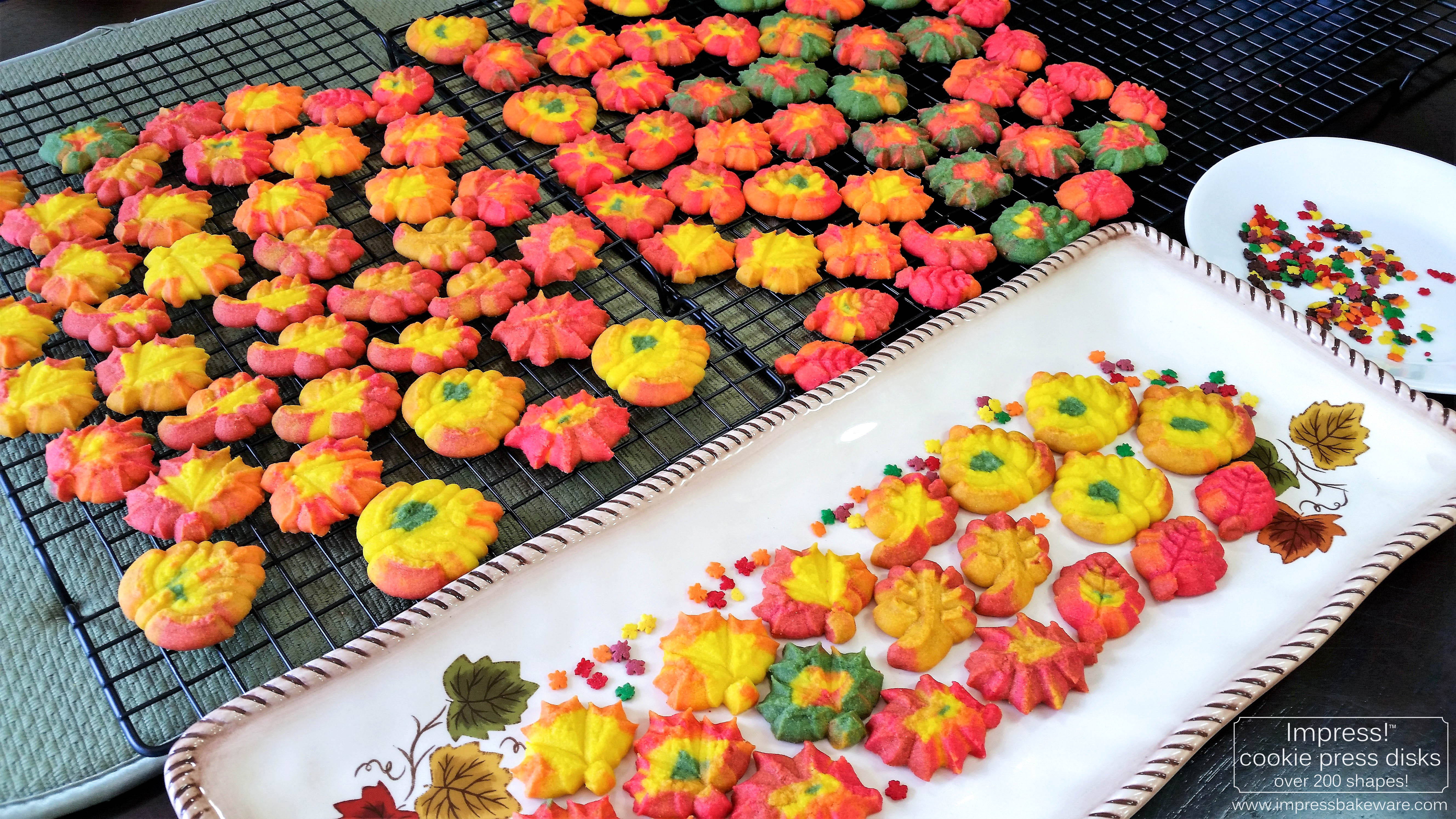 z Colorful Fall Leaves, Turkeys, and Pumpkins cookie press spritz W © 2017 Impress! Bakeware, LLC.jpg